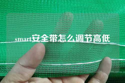 smart安全带怎么调节高低