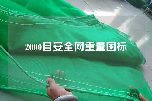 2000目安全网重量国标