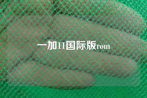 一加11国际版rom