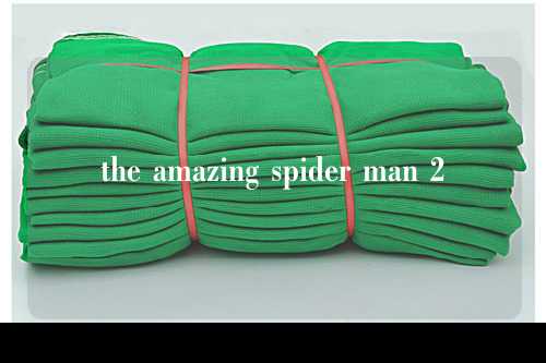 the amazing spider man 2