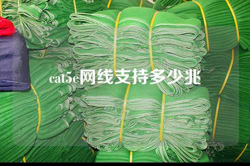 cat5e网线支持多少兆