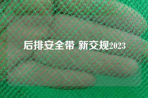 后排安全带 新交规2023